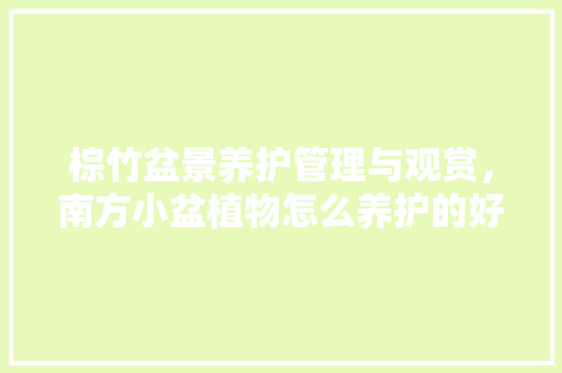 棕竹盆景养护管理与观赏，南方小盆植物怎么养护的好。