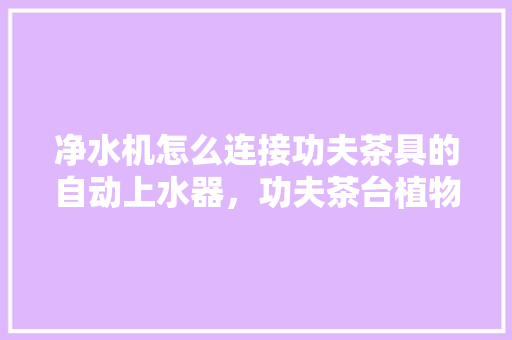 净水机怎么连接功夫茶具的自动上水器，功夫茶台植物怎么养护的视频。
