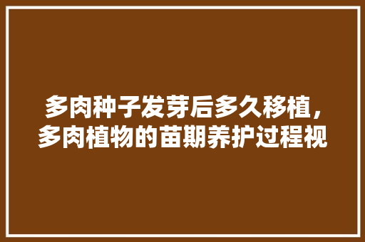 多肉种子发芽后多久移植，多肉植物的苗期养护过程视频。