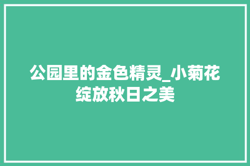 公园里的金色精灵_小菊花绽放秋日之美
