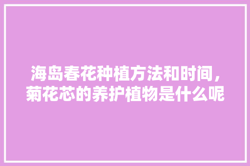 海岛春花种植方法和时间，菊花芯的养护植物是什么呢。
