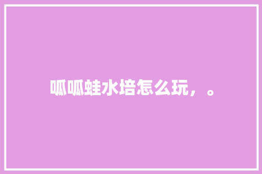 呱呱蛙水培怎么玩，。