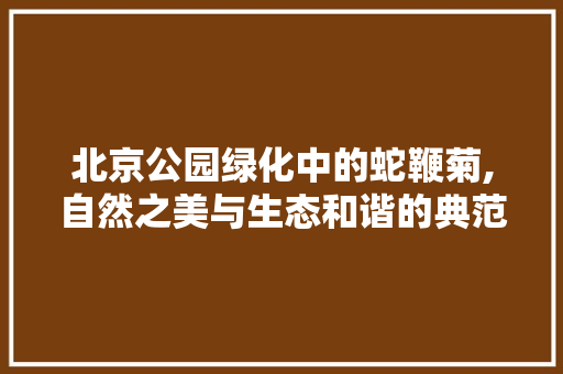 北京公园绿化中的蛇鞭菊,自然之美与生态和谐的典范