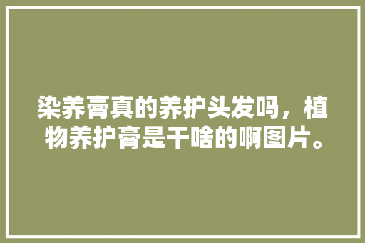 染养膏真的养护头发吗，植物养护膏是干啥的啊图片。