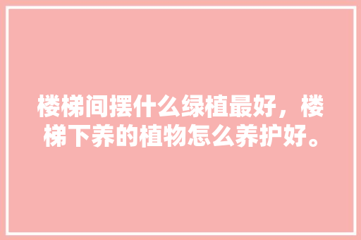 楼梯间摆什么绿植最好，楼梯下养的植物怎么养护好。