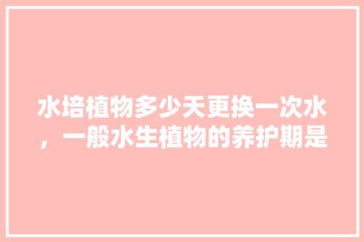 水培植物多少天更换一次水，一般水生植物的养护期是多久。  第1张 水培植物多少天更换一次水，一般水生植物的养护期是多久。 观叶植物
