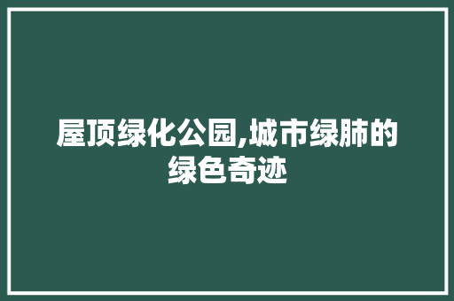 屋顶绿化公园,城市绿肺的绿色奇迹