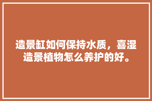 造景缸如何保持水质，喜湿造景植物怎么养护的好。  第1张 造景缸如何保持水质，喜湿造景植物怎么养护的好。 施肥方法