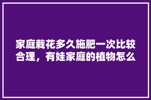 家庭栽花多久施肥一次比较合理，有娃家庭的植物怎么养护好。  第1张 家庭栽花多久施肥一次比较合理，有娃家庭的植物怎么养护好。 观叶植物