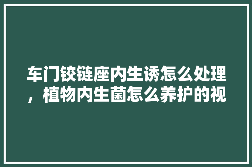 车门铰链座内生诱怎么处理，植物内生菌怎么养护的视频。
