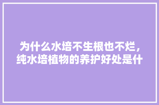 为什么水培不生根也不烂，纯水培植物的养护好处是什么。