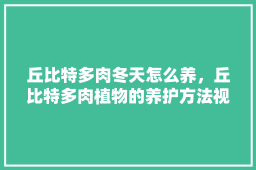 丘比特多肉冬天怎么养，丘比特多肉植物的养护方法视频。