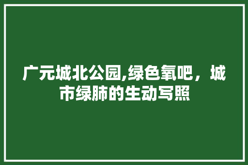 广元城北公园,绿色氧吧，城市绿肺的生动写照