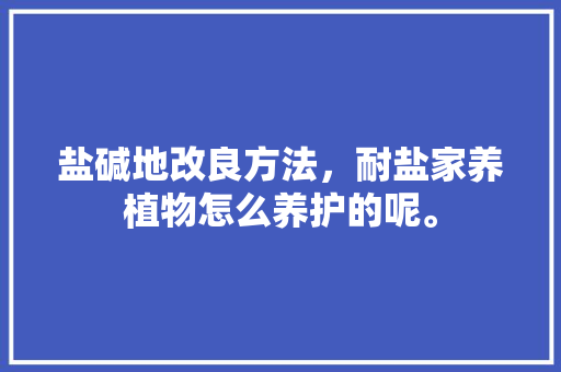 盐碱地改良方法，耐盐家养植物怎么养护的呢。