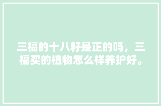 三福的十八籽是正的吗，三福买的植物怎么样养护好。