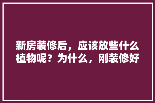 新房装修后，应该放些什么植物呢？为什么，刚装修好的植物怎么养护好。