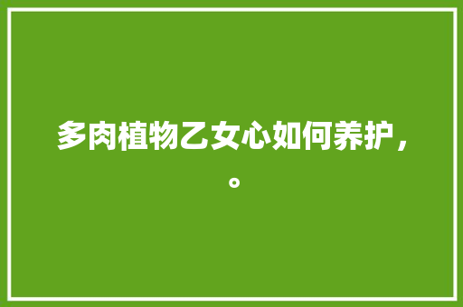多肉植物乙女心如何养护，。