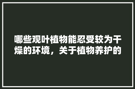 哪些观叶植物能忍受较为干燥的环境，关于植物养护的主题名称有哪些。
