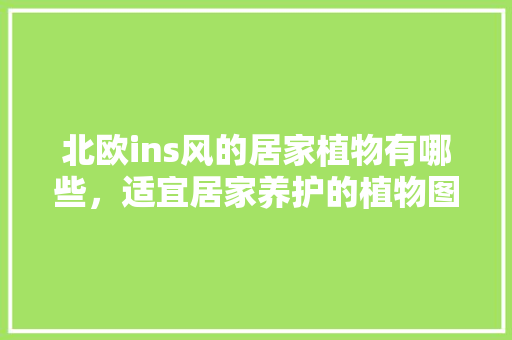 北欧ins风的居家植物有哪些，适宜居家养护的植物图片大全。