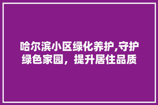 哈尔滨小区绿化养护,守护绿色家园，提升居住品质 观叶植物