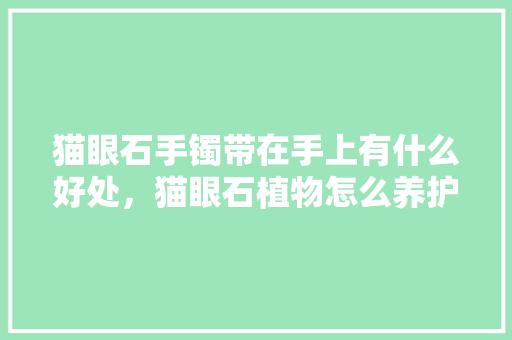 猫眼石手镯带在手上有什么好处，猫眼石植物怎么养护好的图片。