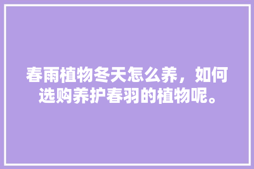 春雨植物冬天怎么养，如何选购养护春羽的植物呢。