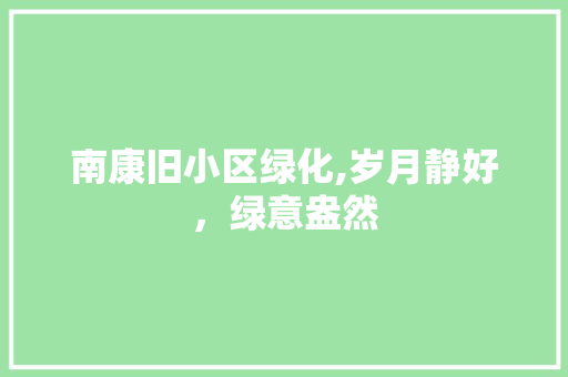 南康旧小区绿化,岁月静好，绿意盎然