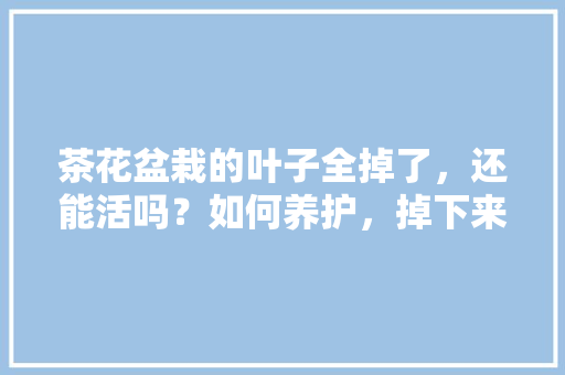 茶花盆栽的叶子全掉了，还能活吗？如何养护，掉下来的植物怎么养护好呢。
