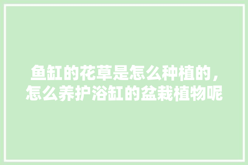 鱼缸的花草是怎么种植的，怎么养护浴缸的盆栽植物呢。