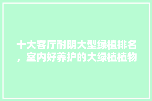 十大客厅耐阴大型绿植排名，室内好养护的大绿植植物有哪些。