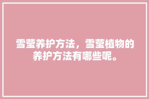 雪莹养护方法，雪莹植物的养护方法有哪些呢。