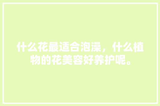 什么花最适合泡澡，什么植物的花美容好养护呢。