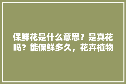 保鲜花是什么意思？是真花吗？能保鲜多久，花卉植物真花怎么养护的呢。