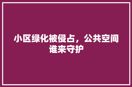 小区绿化被侵占，公共空间谁来守护
