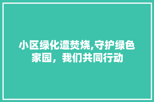 小区绿化遭焚烧,守护绿色家园，我们共同行动