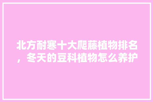 北方耐寒十大爬藤植物排名，冬天的豆科植物怎么养护好。