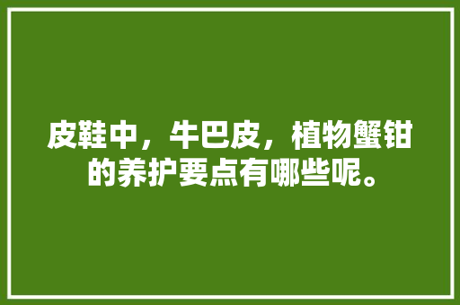 皮鞋中，牛巴皮，植物蟹钳的养护要点有哪些呢。