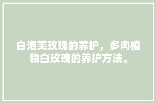白泡芙玫瑰的养护，多肉植物白玫瑰的养护方法。  第1张 白泡芙玫瑰的养护，多肉植物白玫瑰的养护方法。 灌溉技术