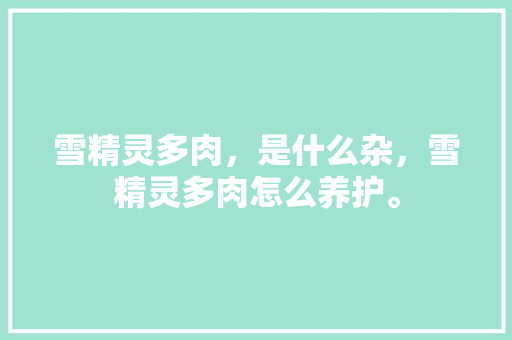 雪精灵多肉，是什么杂，雪精灵多肉怎么养护。