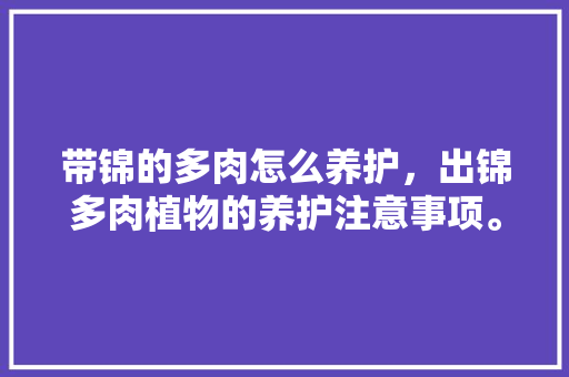 带锦的多肉怎么养护，出锦多肉植物的养护注意事项。