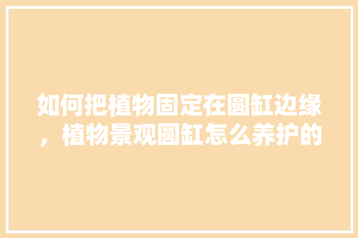 如何把植物固定在圆缸边缘，植物景观圆缸怎么养护的好。