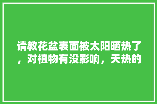 请教花盆表面被太阳晒热了，对植物有没影响，天热的植物怎么养护好呢。