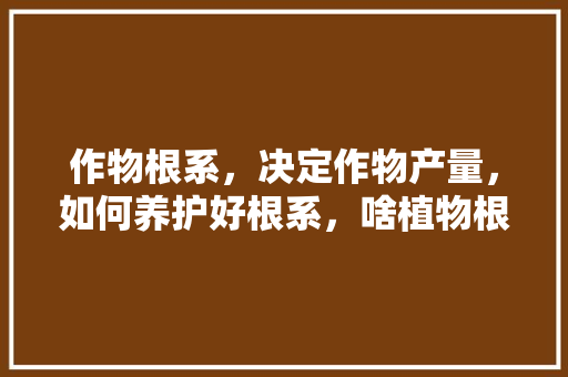 作物根系，决定作物产量，如何养护好根系，啥植物根系发达的好养护呢。