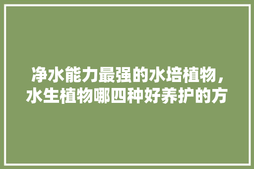 净水能力最强的水培植物，水生植物哪四种好养护的方法。