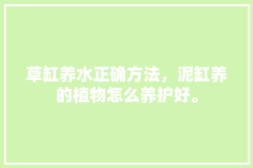 草缸养水正确方法，泥缸养的植物怎么养护好。