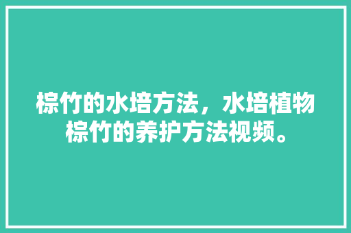 棕竹的水培方法，水培植物棕竹的养护方法视频。