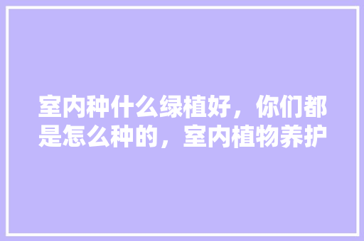 室内种什么绿植好，你们都是怎么种的，室内植物养护知识 技巧。  第1张 室内种什么绿植好，你们都是怎么种的，室内植物养护知识 技巧。 土壤选择