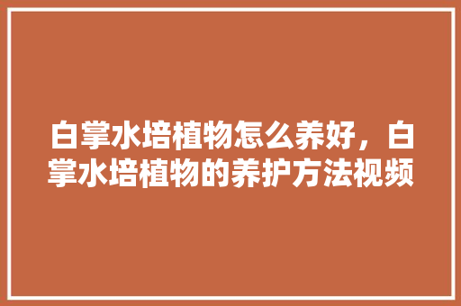 白掌水培植物怎么养好，白掌水培植物的养护方法视频。