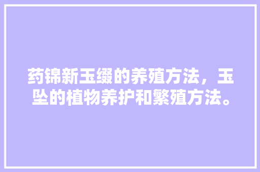 药锦新玉缀的养殖方法，玉坠的植物养护和繁殖方法。