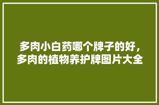 多肉小白药哪个牌子的好，多肉的植物养护牌图片大全。